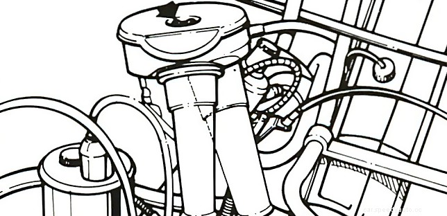 Preparing for the summer