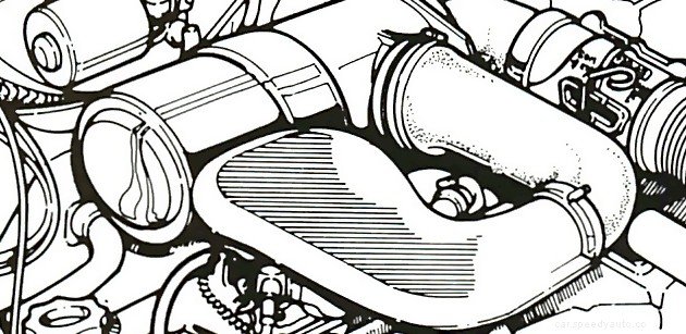 Preparing for the summer