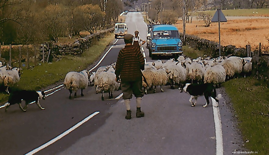 Making allowances for other road users