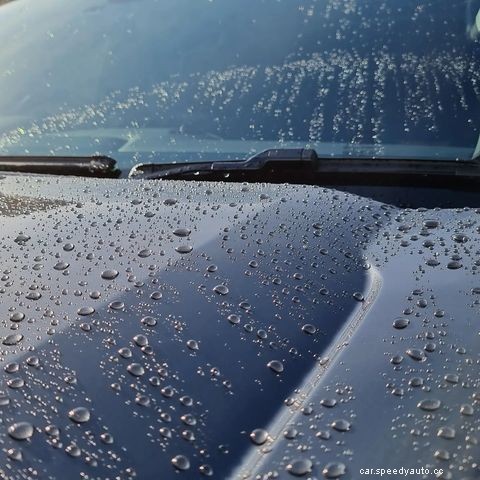 Breaking Down the Top 10 Ceramic Coating Myths