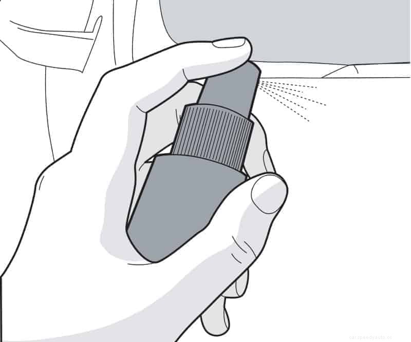 How to Prep for Ceramic Coating