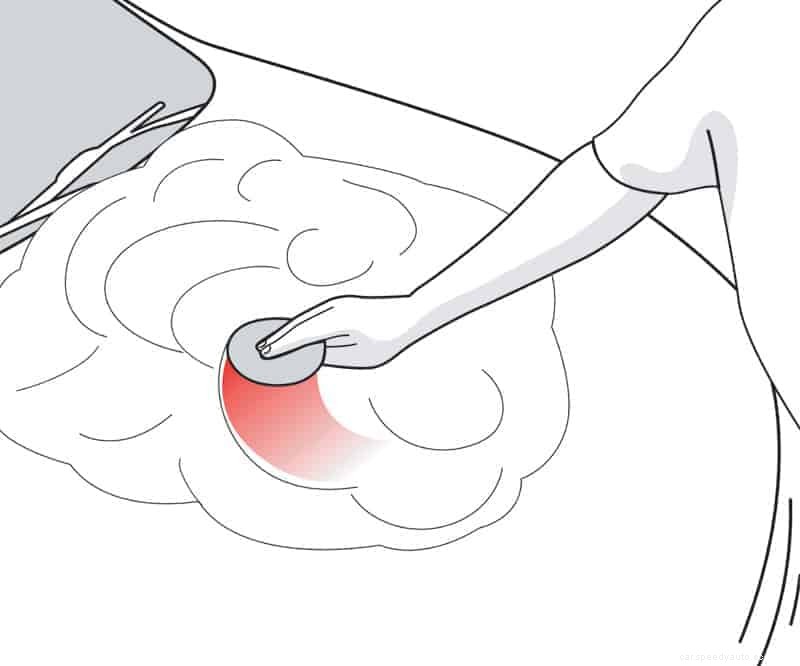 How to Prep for Ceramic Coating