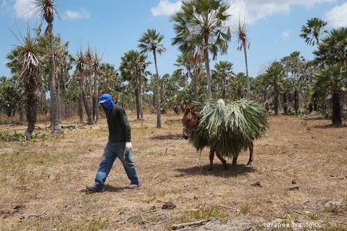 The Truth About Car Wax: 9 Things You May Have Overlooked!