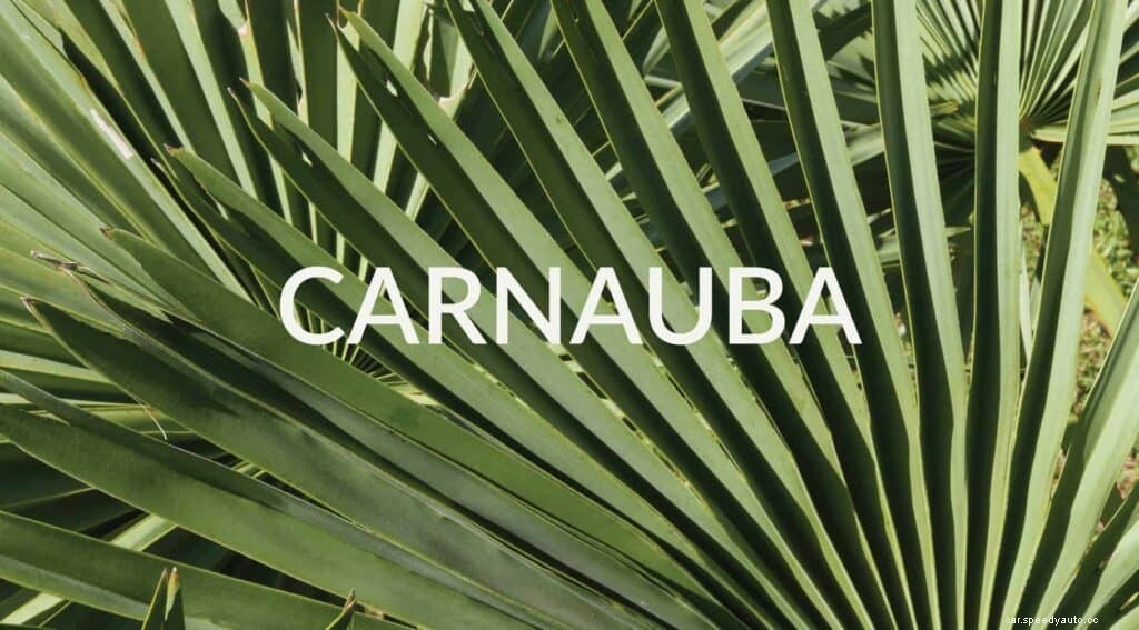 The Truth About Car Wax: 9 Things You May Have Overlooked!