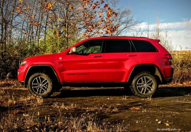 Changing Seasons, Falling Leaves, and Your Cars Paint