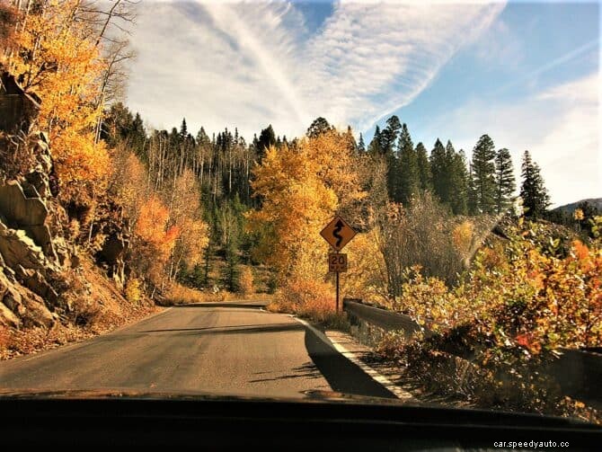 Changing Seasons, Falling Leaves, and Your Cars Paint
