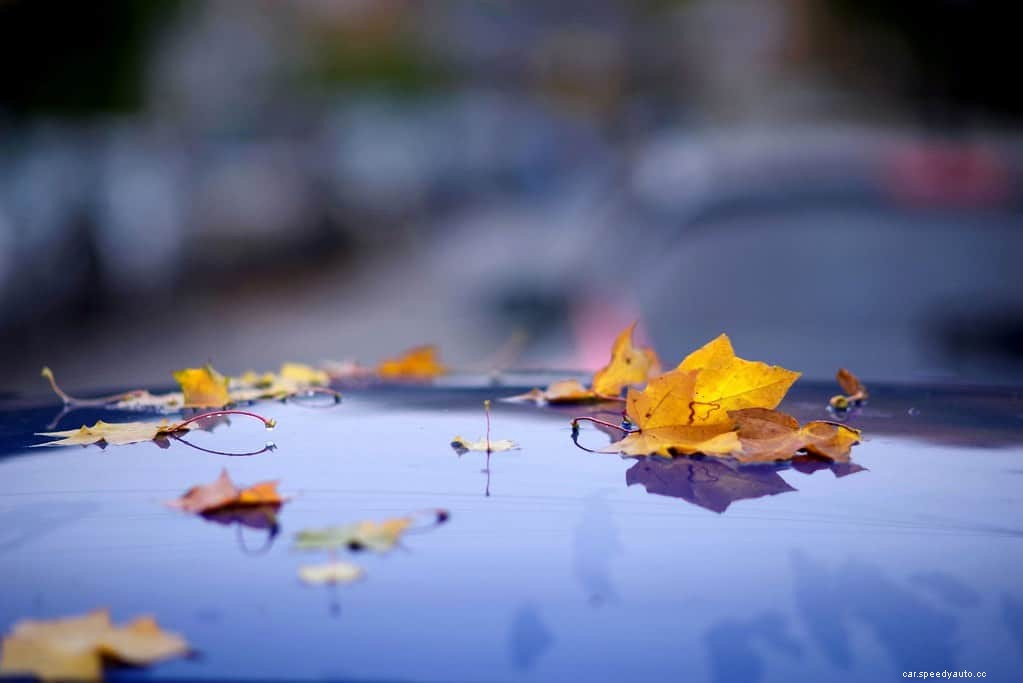 How to Prepare for Fall Car Care Month