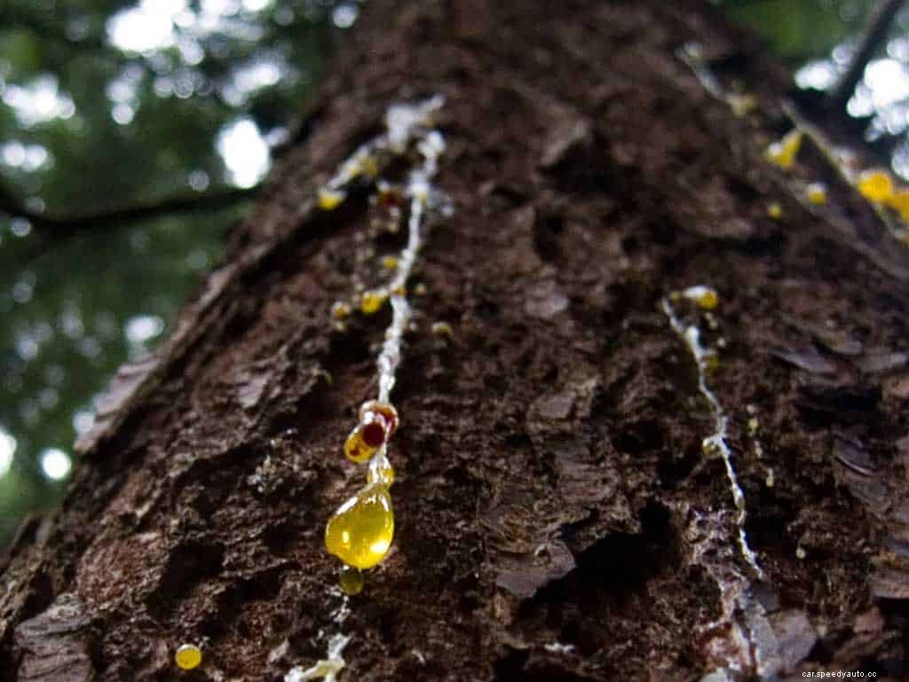 Ways to Protect Your Car Without a Garage