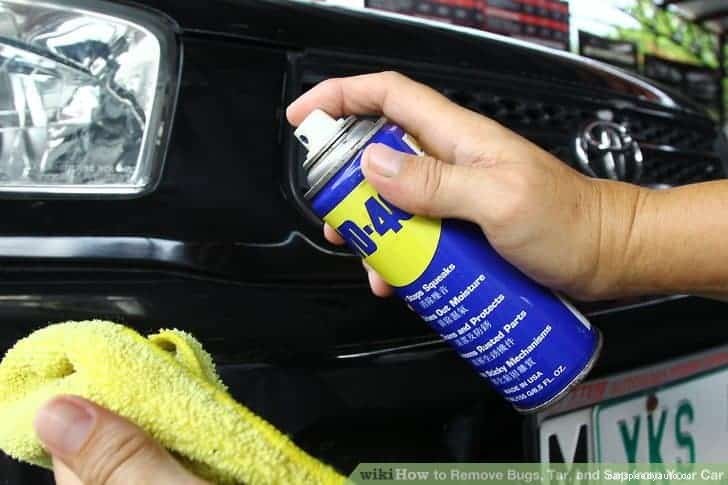 Bug Removal 101 – How to Easily Remove Bug Guts from Your Car