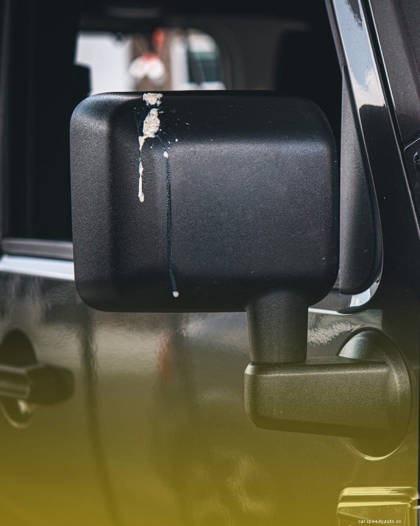 A Guide for Cleaning Tree Sap Off Your Ride