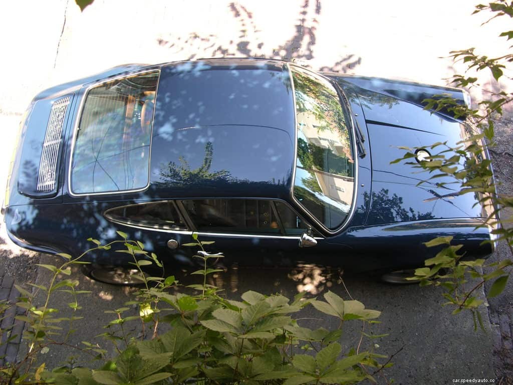 A Guide for Cleaning Tree Sap Off Your Ride