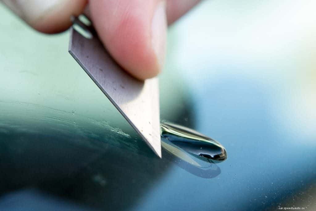 A Guide for Cleaning Tree Sap Off Your Ride