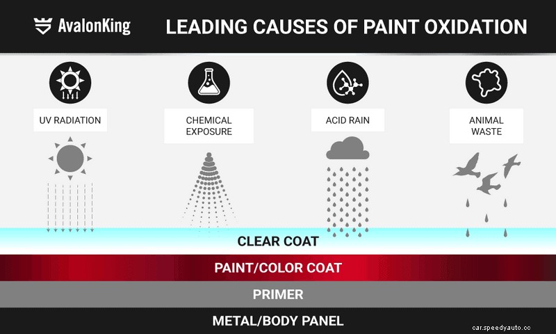 A Beginners Guide to Fixing Clear Coat Damage – What Causes Oxidation on Paint?
