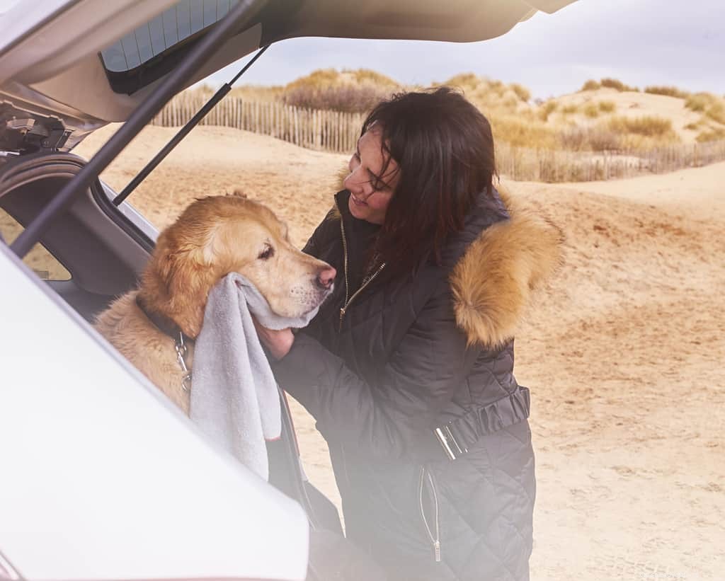 Traveling With Pets: Driving Safety and Animals