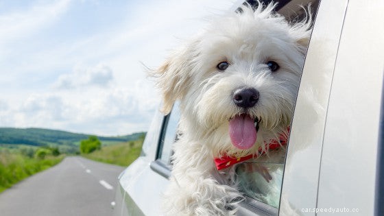 How to Remove a Scuff Mark or Scratch From Your Car Dashboard