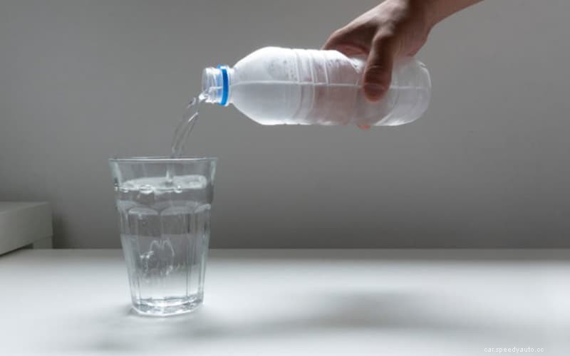 What to Do When Birds Wreck Your Cars Paint Job