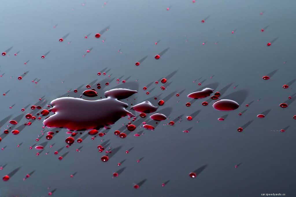 The Great Fruit Fight: How to Remove Berry Stains From Car Paint