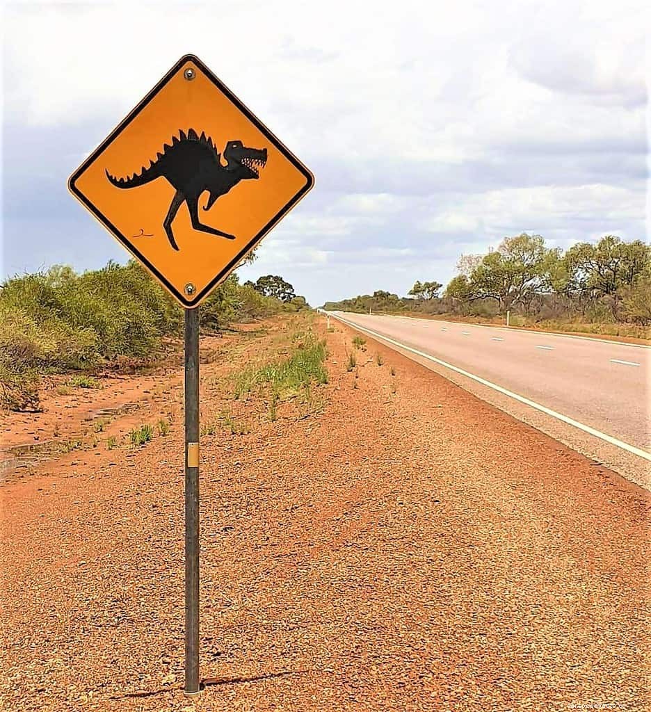 Animal Road Hazards: How to Avoid and React to Collisions with Wildlife