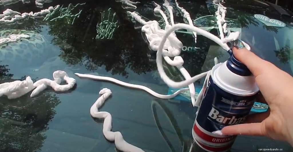 25 Car Paint and Clear Coat Killers You Need to Remove From Your Ride ASAP