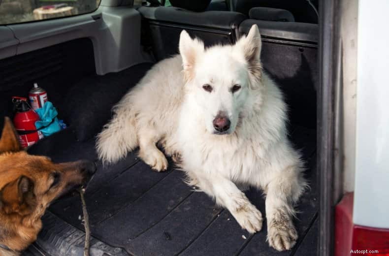 12 hacks for spring cleaning your car