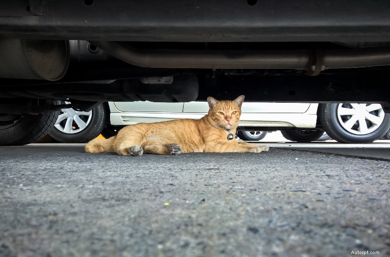 15 simple things you can do as a driver that could save a life