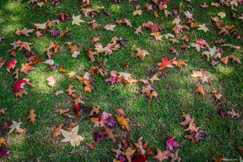 10 Fall Home Maintenance Tips Everyone Should Know