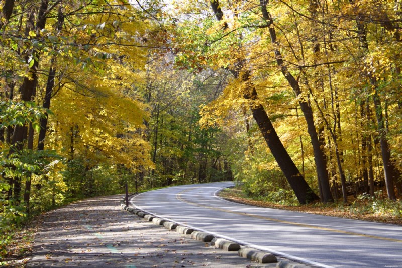 9 Fall Car Care Tips for Colorado Drivers