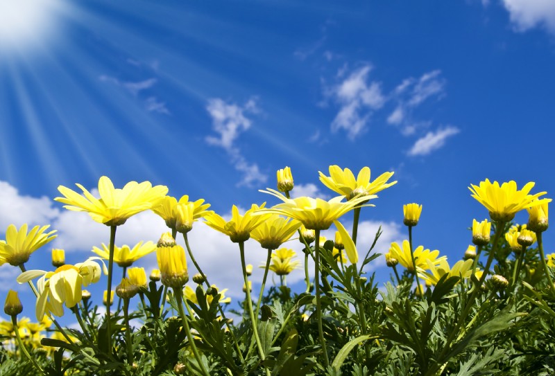 Colorado Springtime Auto Maintenance Tips from LightHouse Automotive