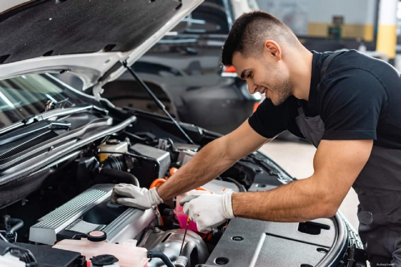 Understanding the Difference Between Engine Oil and Transmission Fluid