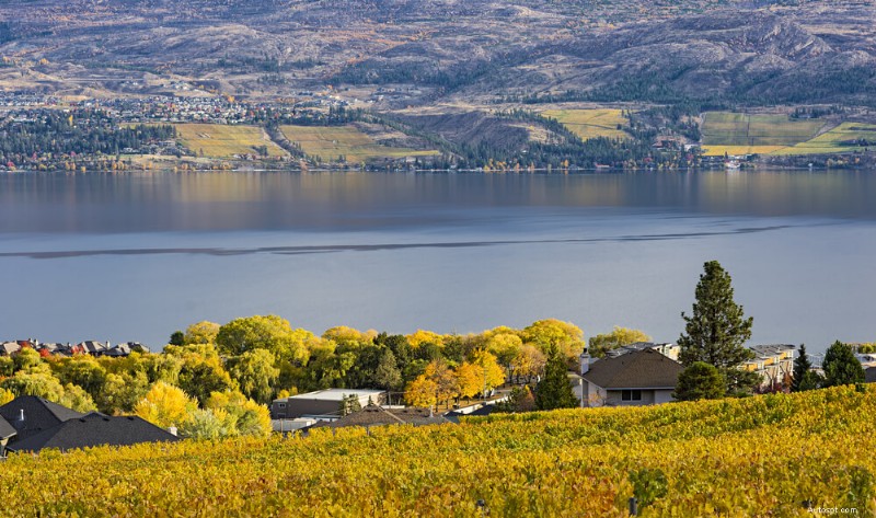 Explore Kelowna in the Fall