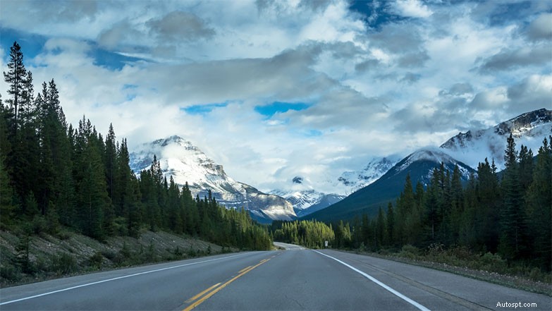 7 Tips to Do Before and During Your Road Trip to Enjoy a Safe Journey