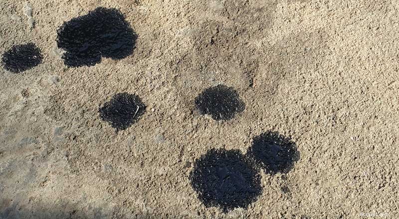 Stains in Your Driveway? Figure Out What’s Leaking from Your Car!