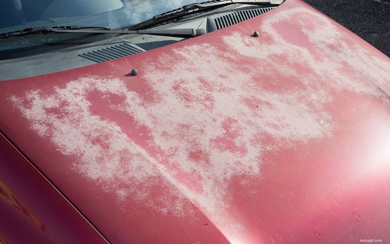 What Damages Car Paint? Things To Keep a Check On