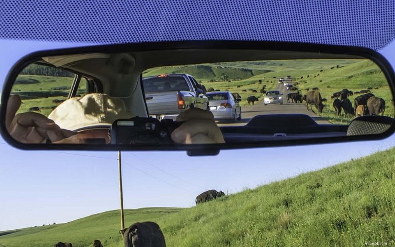 The Importance of Rearview Mirror