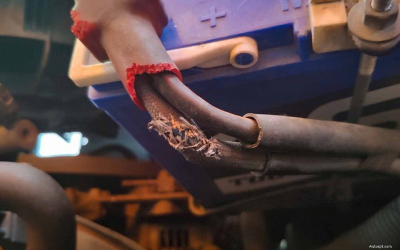 What Are The Most Common Car Horn Problems