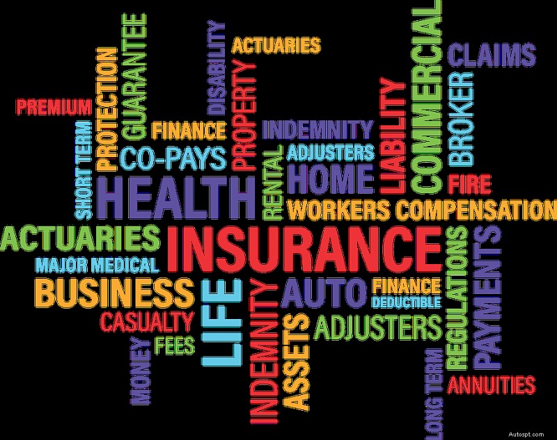 How Comparing Auto Insurance Options Can Save Money