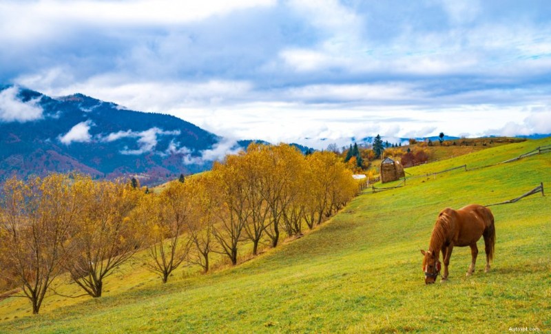 Alberta’s Best Road Trips: 10 Scenic Drives To Take Your Ride On This Summer