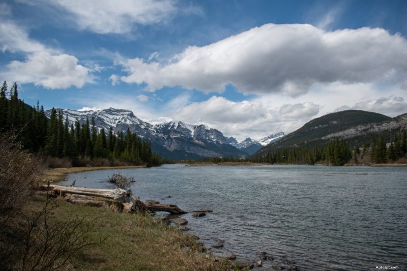 Alberta’s Best Road Trips: 10 Scenic Drives To Take Your Ride On This Summer
