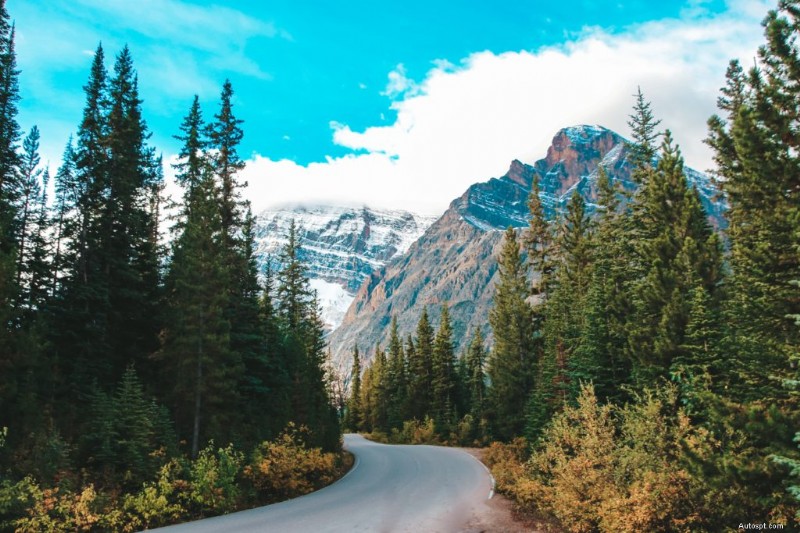 Alberta’s Best Road Trips: 10 Scenic Drives To Take Your Ride On This Summer