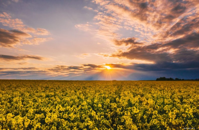 Alberta’s Best Road Trips: 10 Scenic Drives To Take Your Ride On This Summer