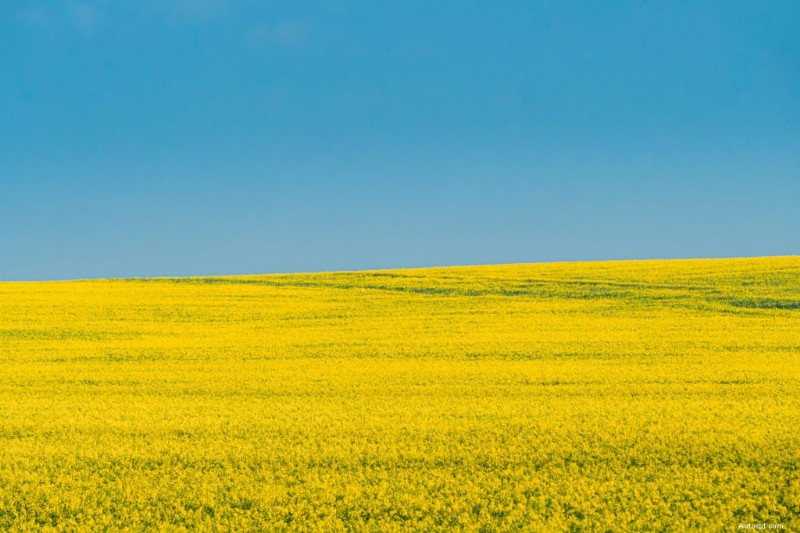 Alberta’s Best Road Trips: 10 Scenic Drives To Take Your Ride On This Summer