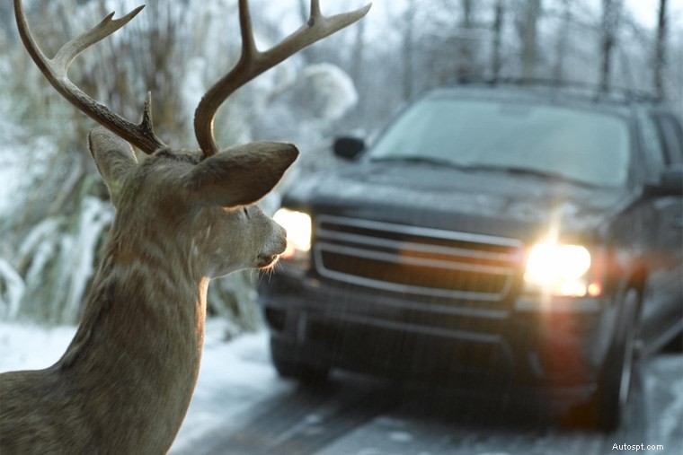 Improve Visibility At Night With These Powerful Headlight Upgrades