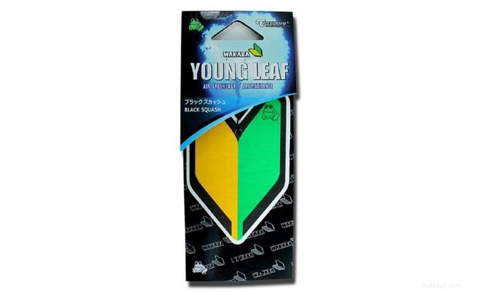 Top 10 Best Air Fresheners for Your Car