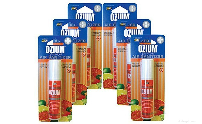 Top 10 Best Air Fresheners for Your Car