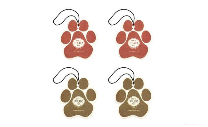 Top 10 Best Air Fresheners for Your Car