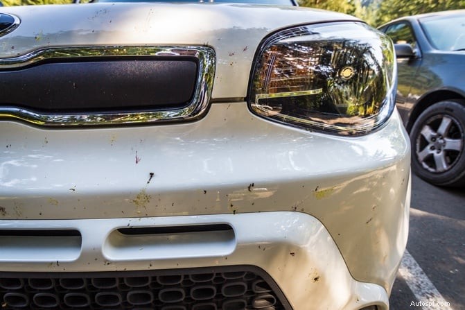 The Best Bug and Tar Removers