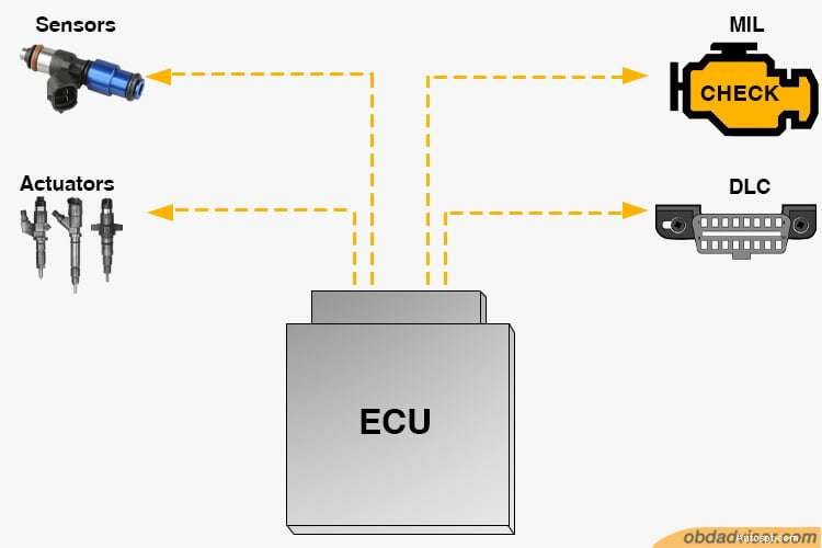 Understanding OBD‑II: Features, Limitations, and Practical Uses