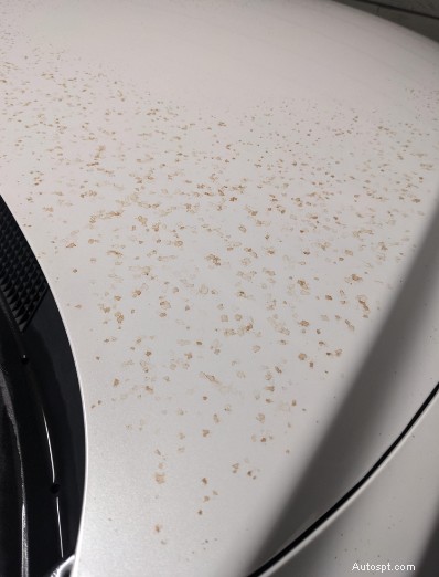 Top 5 Car Paint Contaminants Unveiled – Expert Tips to Preserve Your Vehicle s Finish