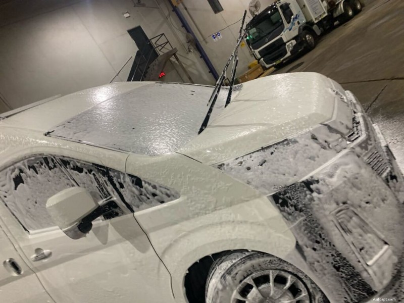 How to Effectively Remove Tree Sap from Your Car in 4 Simple Steps