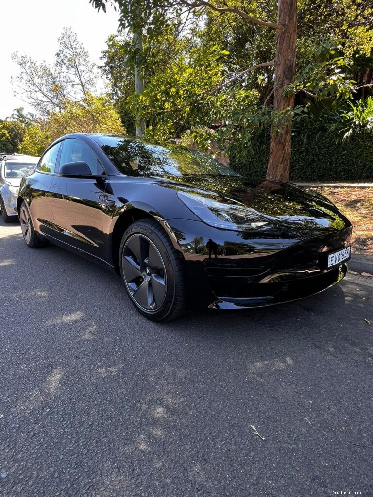 Save Money & Protect Your Vehicle: A Comprehensive Guide to Car Detailing